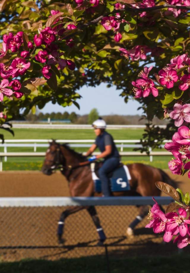 Keeneland Spring