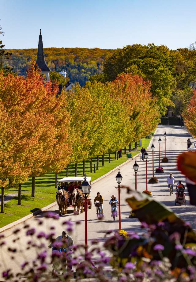 Best Place to Visit for Fall 2026