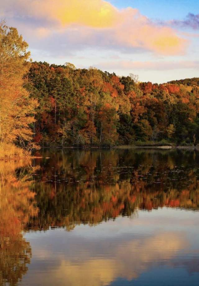 Fall In Love With Person County!