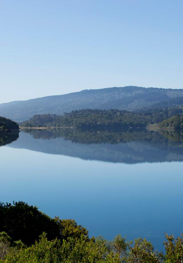 Crystal Springs Millbrae