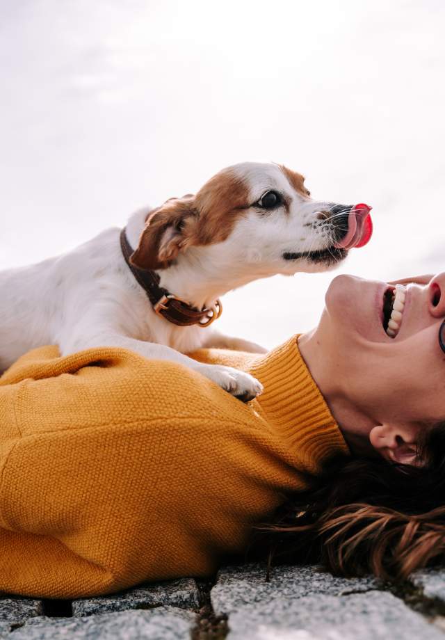 Dog with female owner