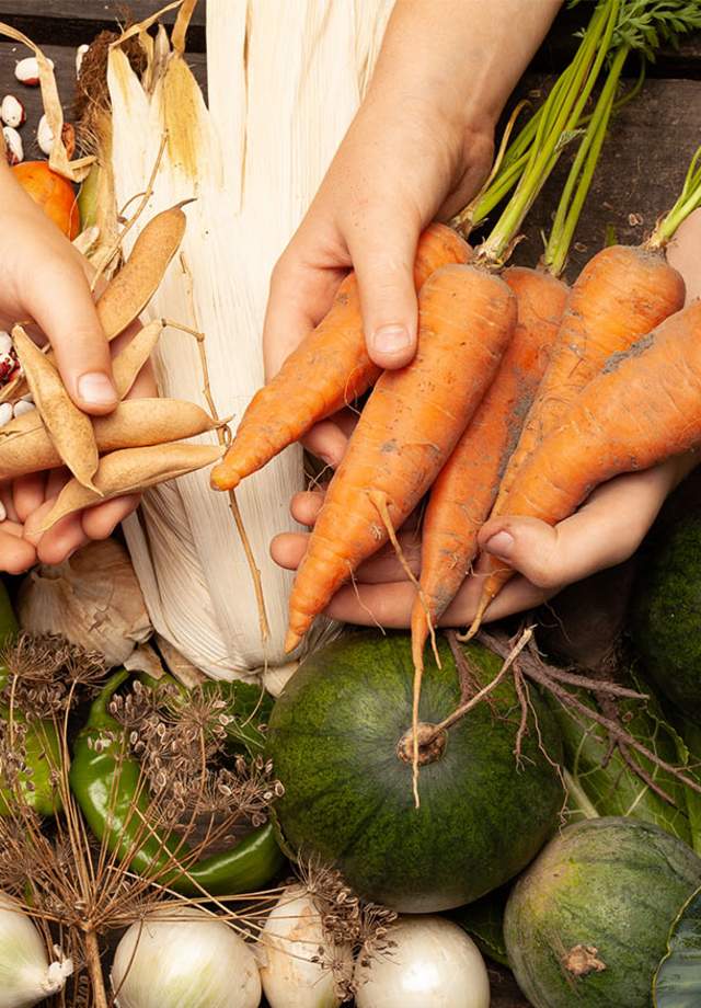 People holding fresh vegetables