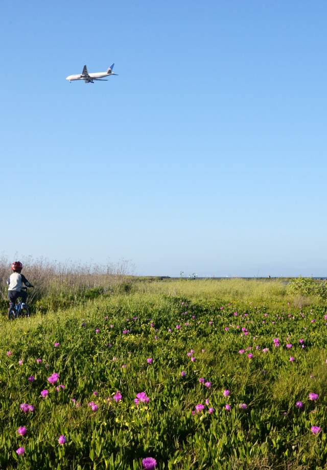 Kid riding bike on Coyote Point Trail in San Mateo California
