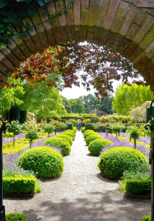 Filoli_Garden_Woodside_SanMateoCounty_SiliconValley_by_Gretchine_Wilson