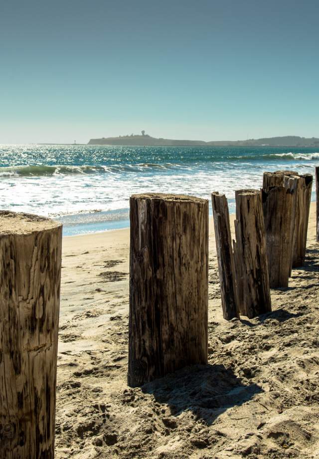 HalfMoonBay_State_Beach_by_BradleyWittke_SanMateoCounty_SiliconValley