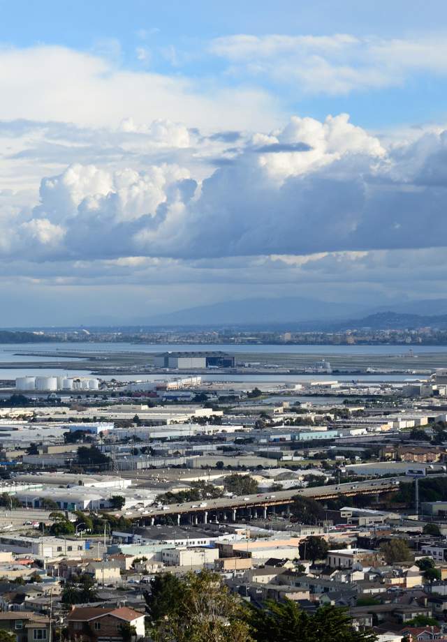 City of Millbrae Landscape