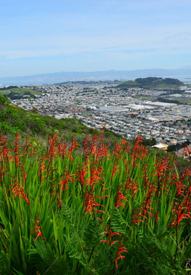 SanBruno_Mountain_View_SanMateoCounty_SiliconValley