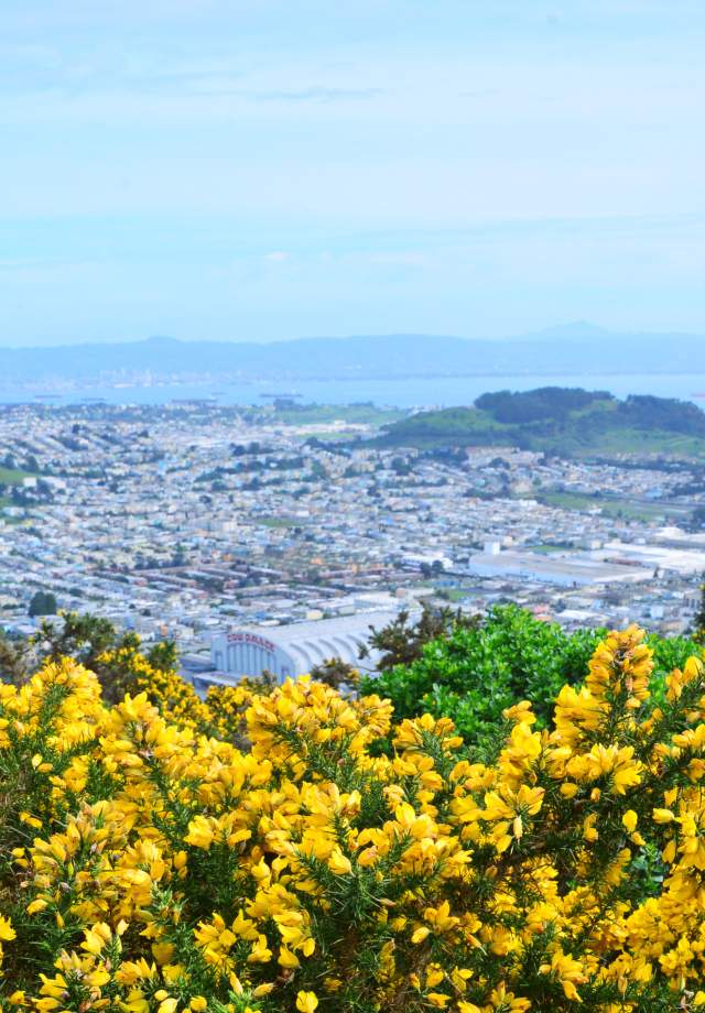 Views_from_SanBruno_Mountain_SanMateoCounty_SiliconValley