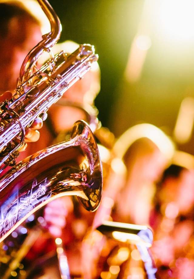 Band performing live at a concert