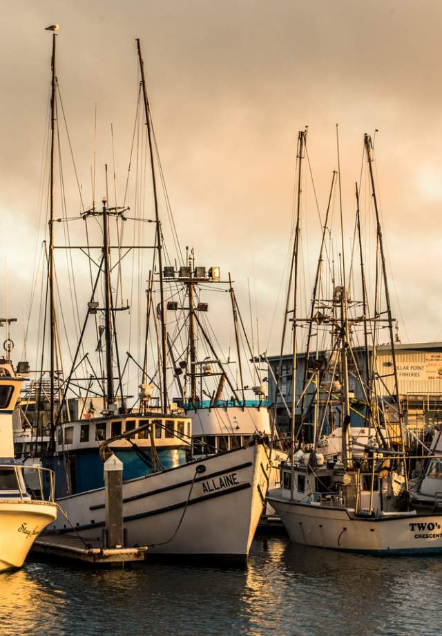 Pillar Point Harbor