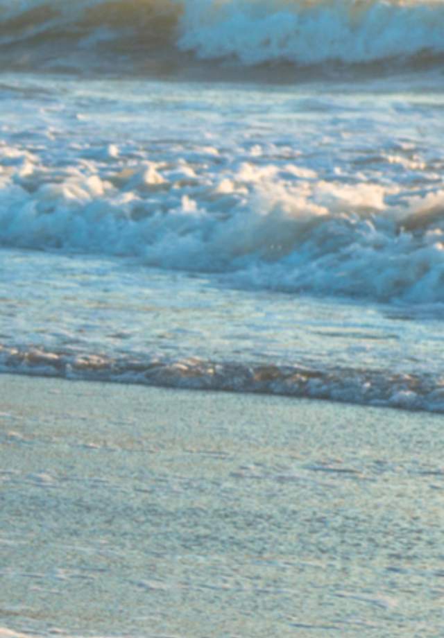 Seagulls at Linda Mar State Beach in Pacifica, California