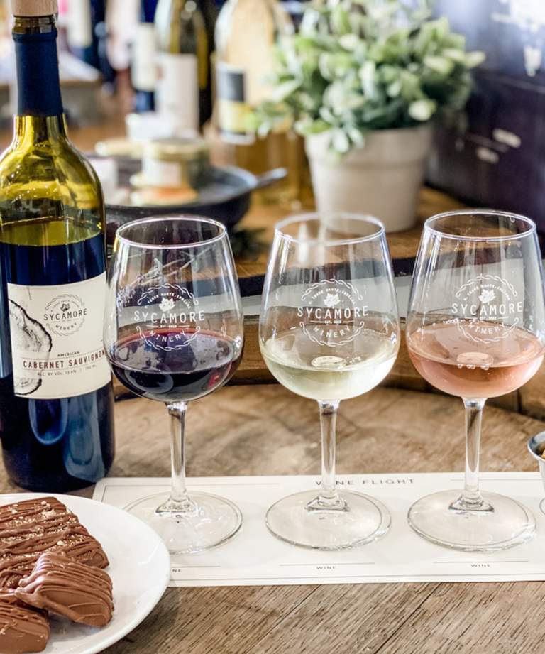 wine bottle with glasses of wine in flight with food