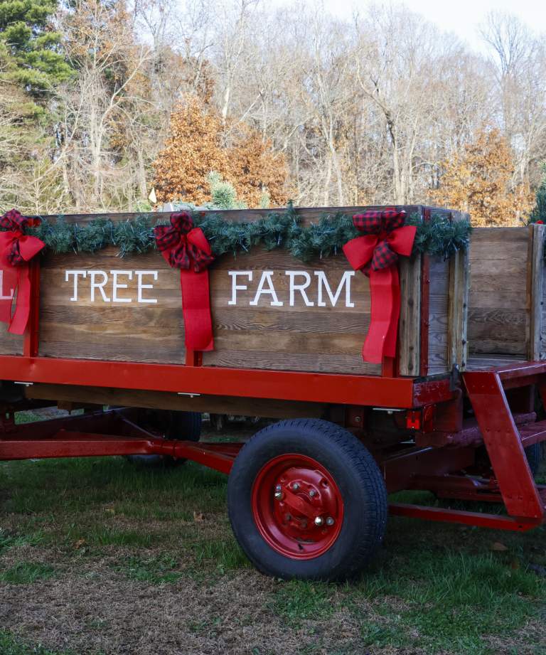 Canal Tree farm wagon
