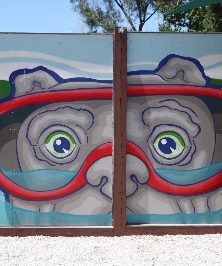 Stiffy Green with goggles