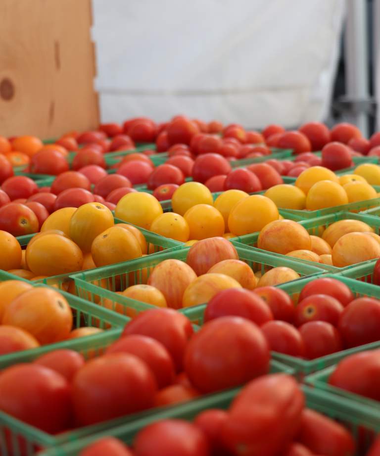 Tomatos