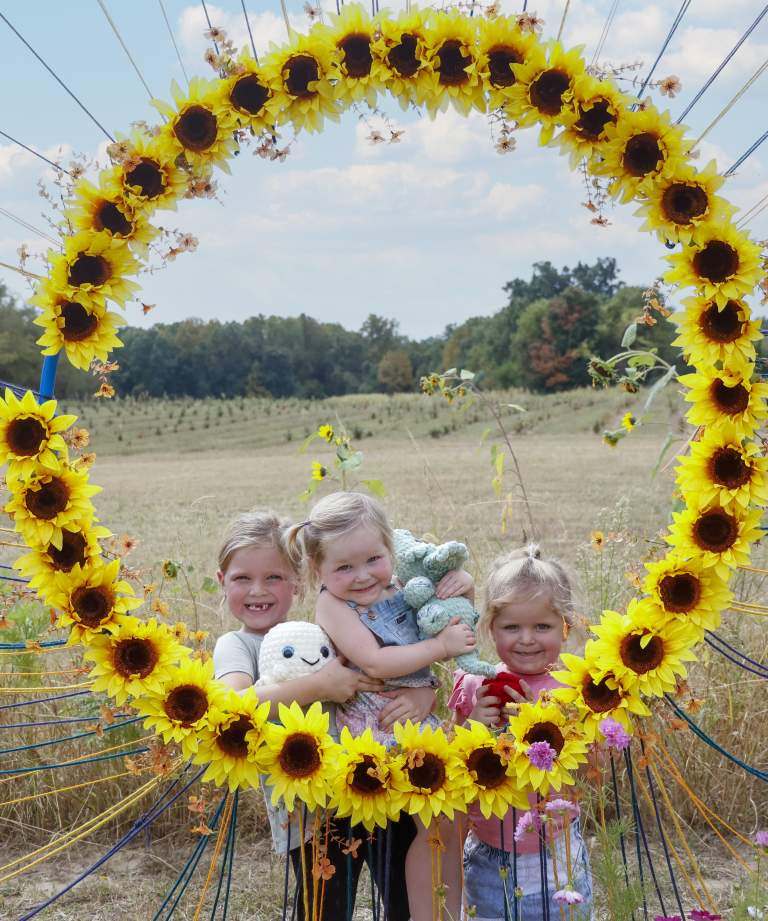 Jolly Pines Tree Farm fall