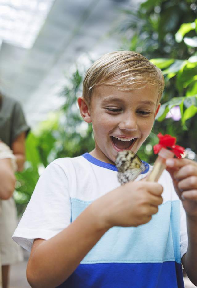 Butterfly Palace Attraction Family Spring Summer