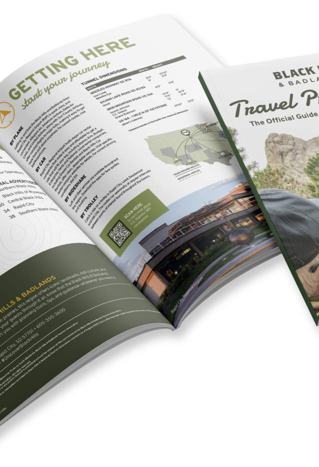 Travel professional guide