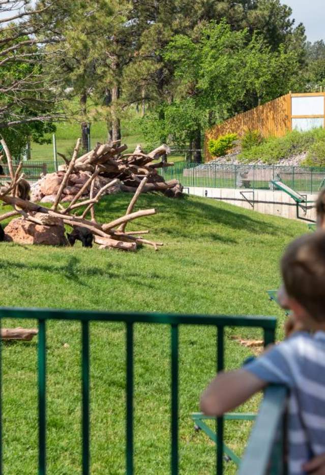 Bear Country