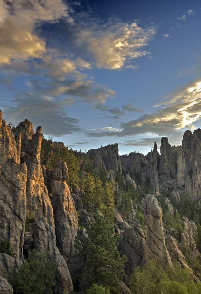 Custer State Park Needles