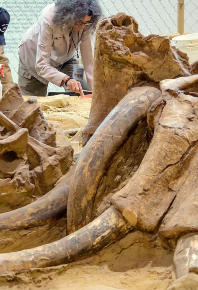 Mammoth Site