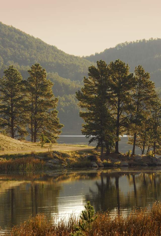 Stockade Lake Custer State Park