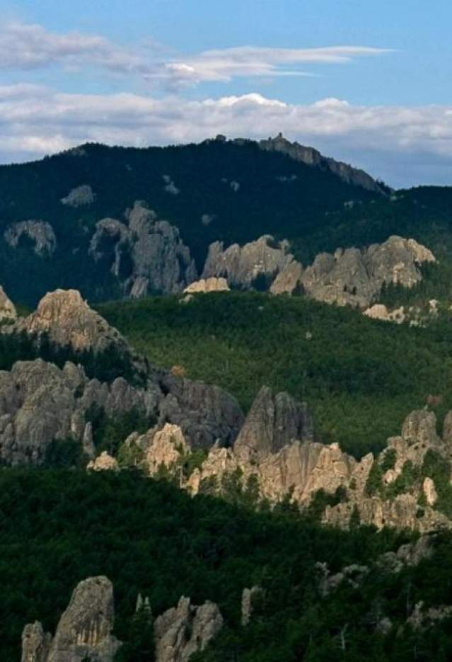 Black-Hills-National-Forest