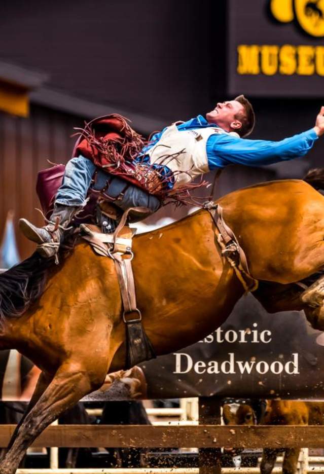 Rodeo rider on bucking horse