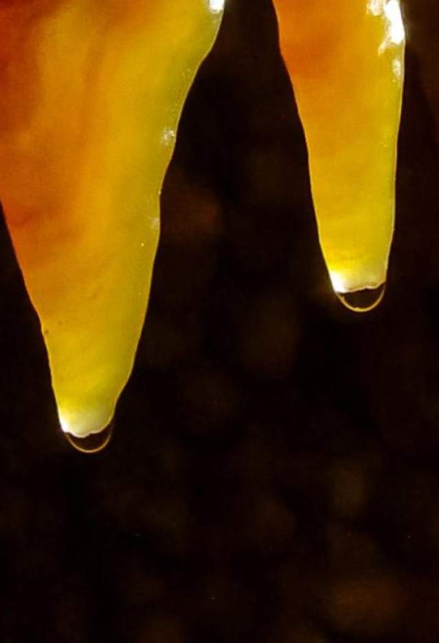 Jewel Cave