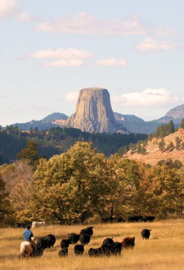Devils-Tower