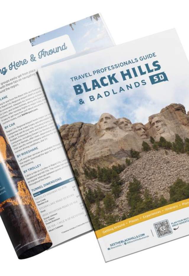 Travel professional guide