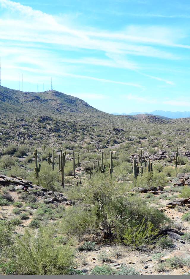 South Mountain Hiking Trails