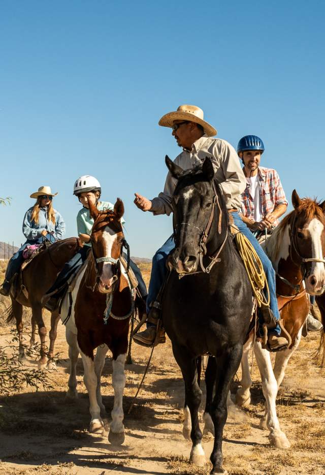 KOLI Equestrian Center at Wild Horse Pass