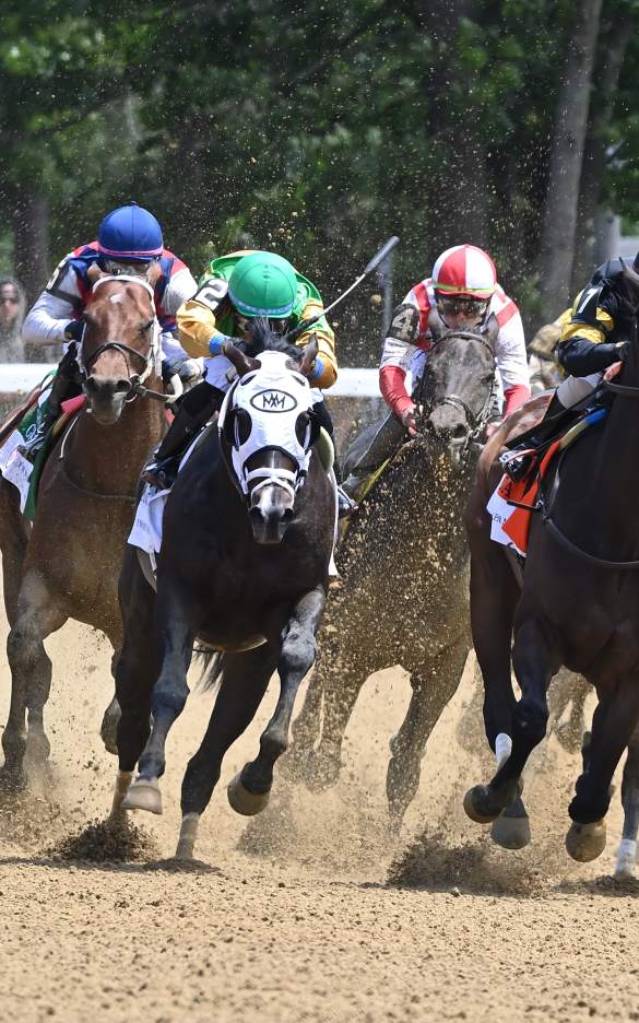 horses running on dirt track