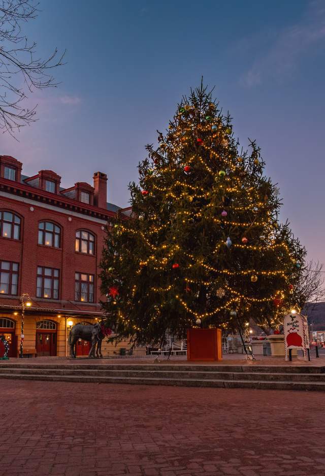 A large live Christmas Tree is decorated in front of a large historic train station.