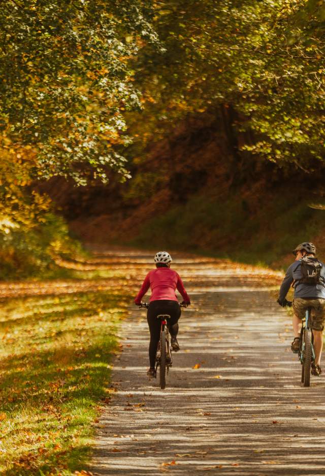 A couple ride bike on a gravel path surrounded trees with fall colored leaves of yellows, oranges, and reds.