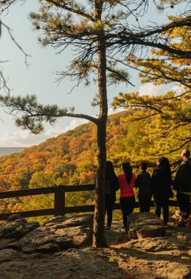 Great-Allegheny-Passage-Fall-Upward-Angle-Switzer