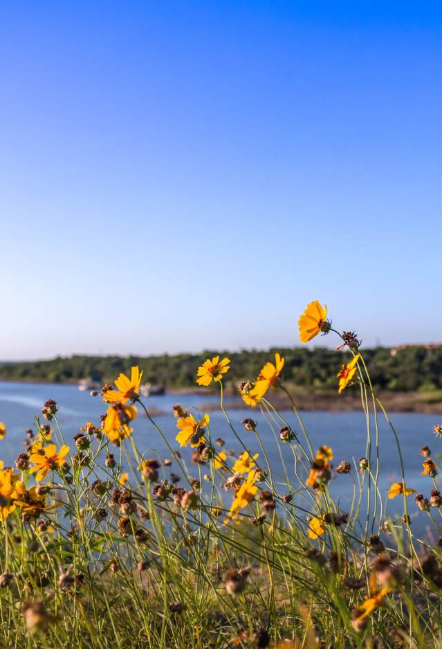 Lake Brownwood