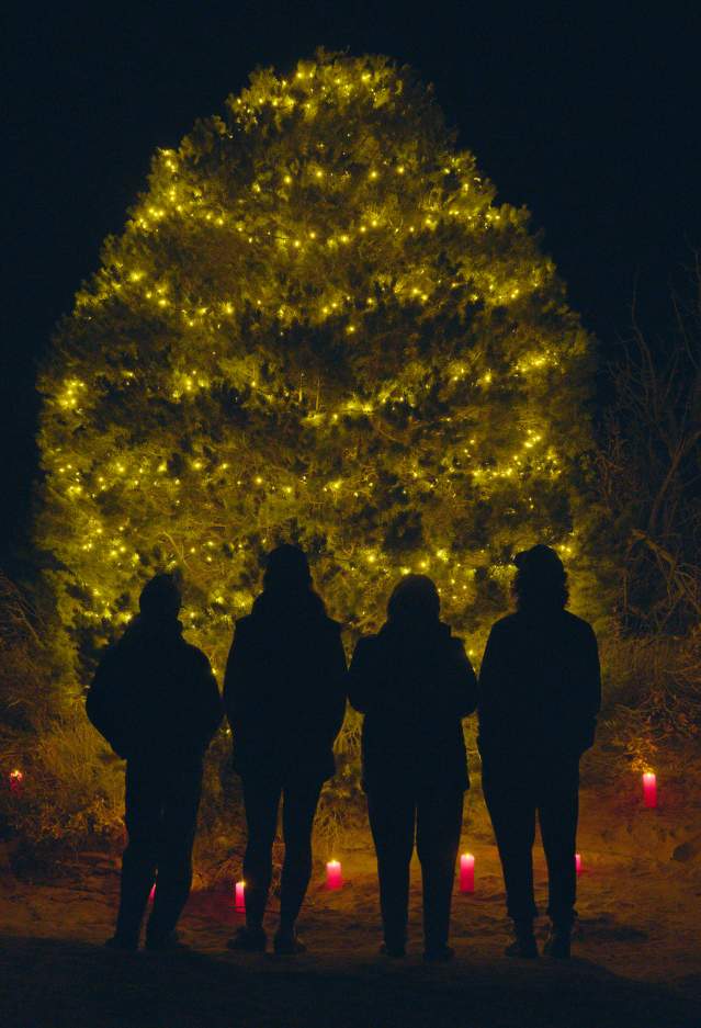 Holidays Sandflats Tree 2