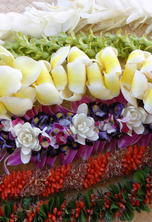 Colorful array of lei
