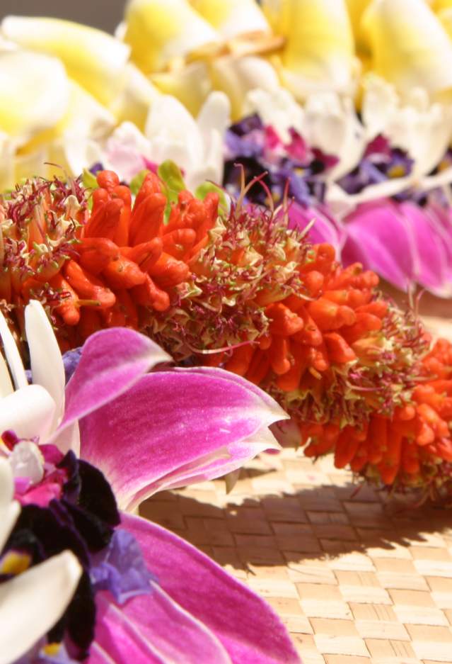 Close up of lei