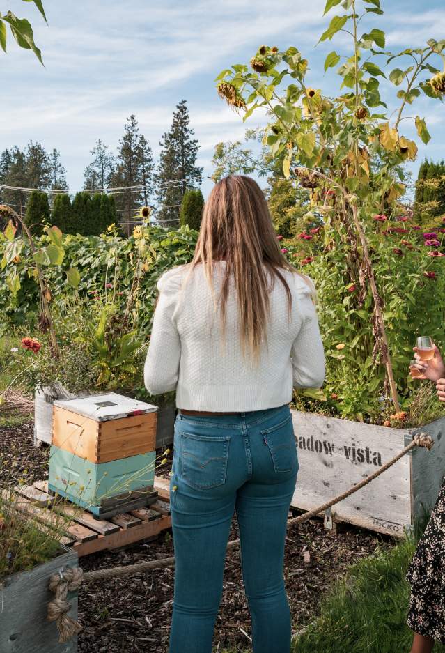 Bee Hives at Meadow Vista Honey Wines 1