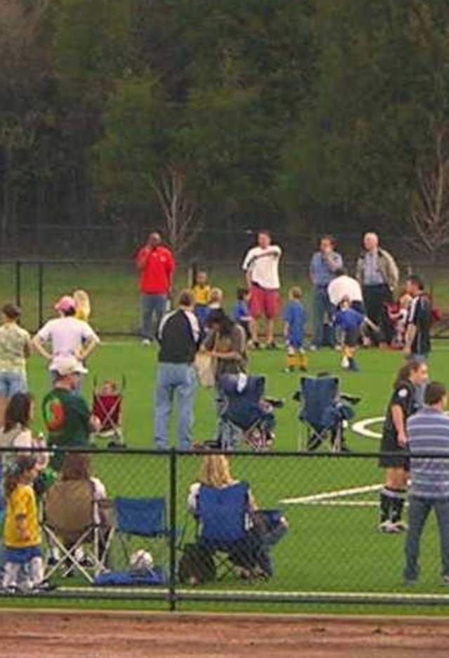 Groups of families on a field