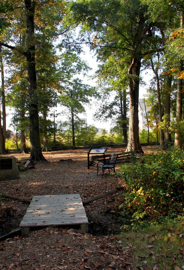 A footbridge in a park surrounded by trees