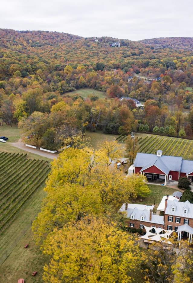 Sip & Celebrate: October is Virginia Wine Month