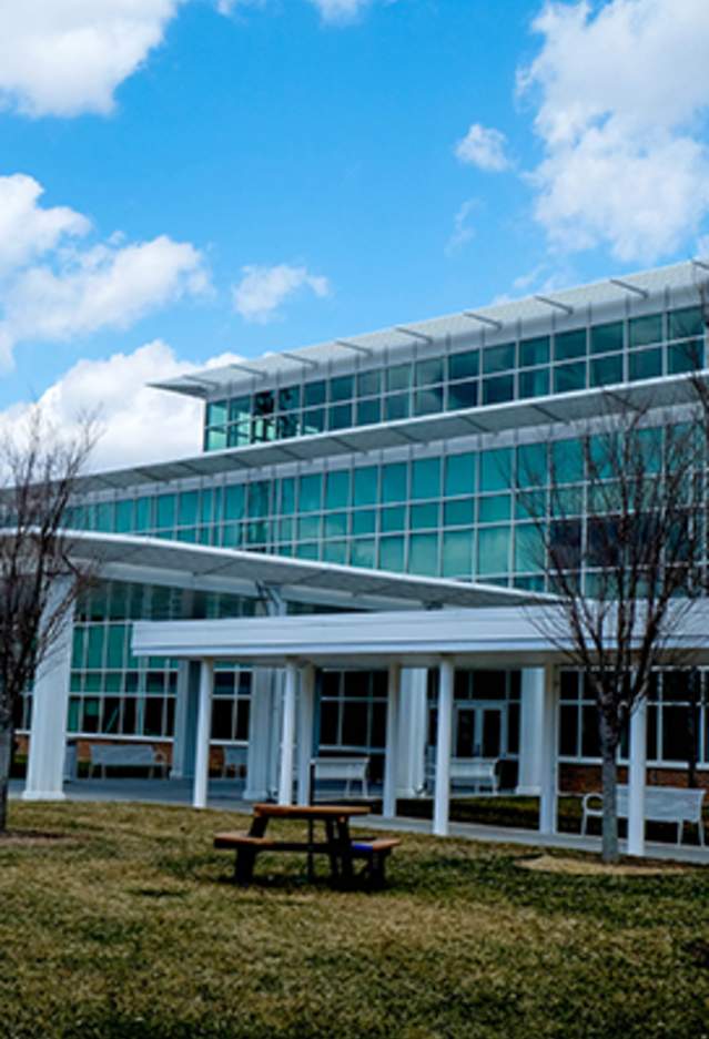 A building with many windows