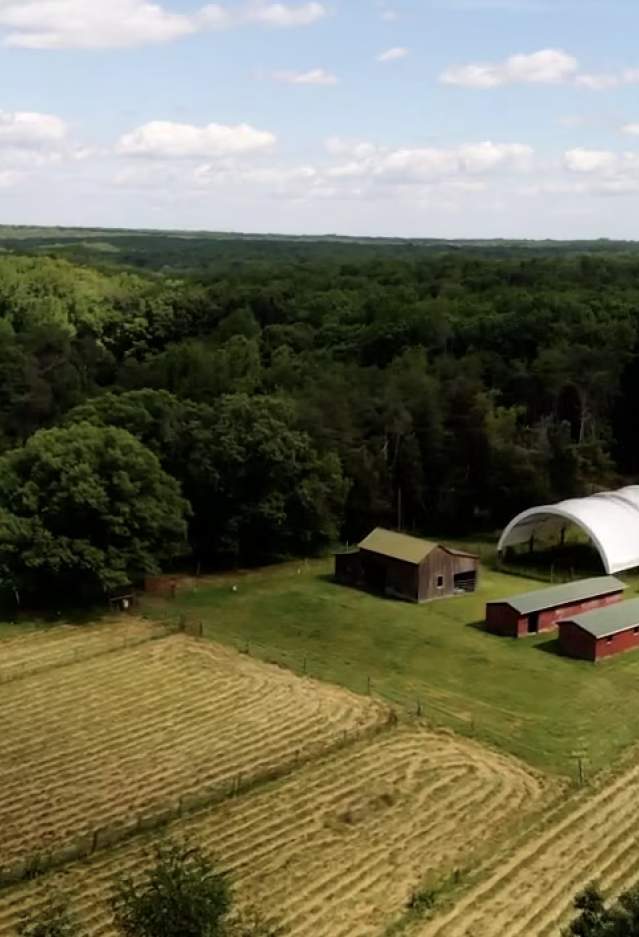 Discover Virginia’s Native Grape at the Norton Wine Showcase in Prince William