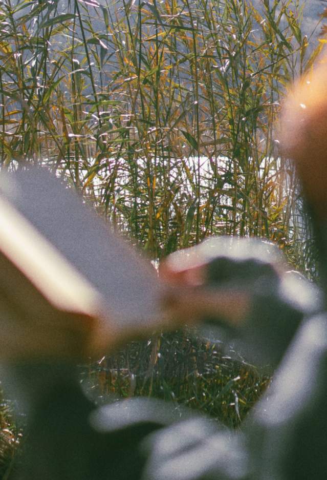 Unplug & Recharge: A Nature-First Electronic Detox in Prince William, Virginia