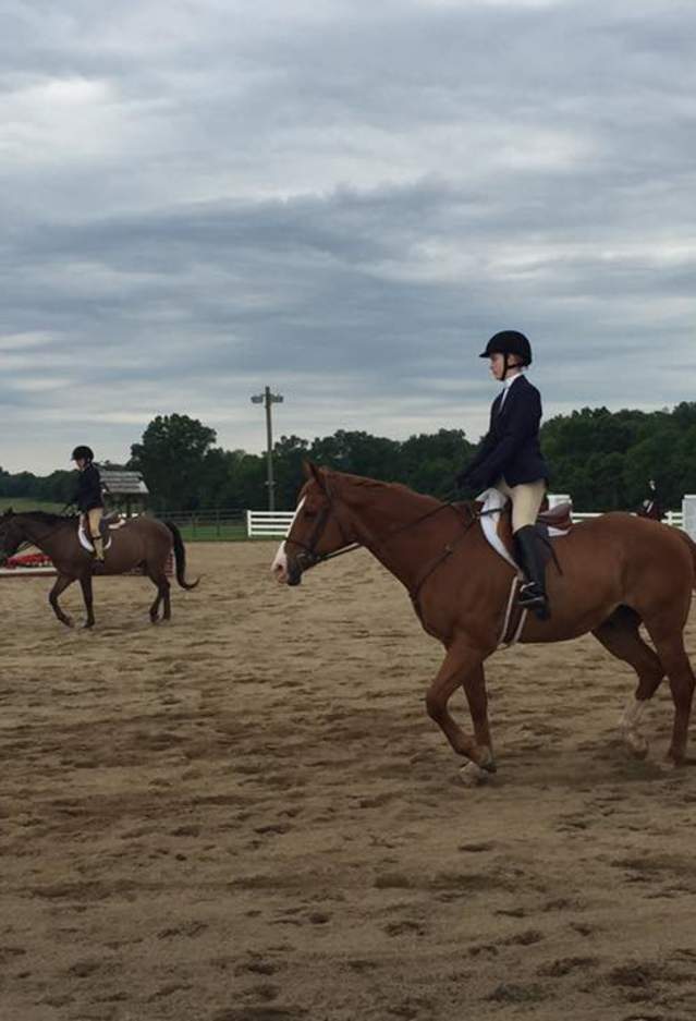 Brentsville Stables