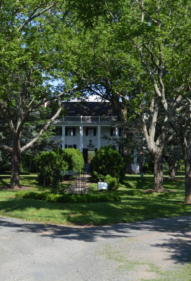 White Building located behind trees